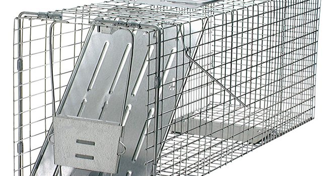 cage raton